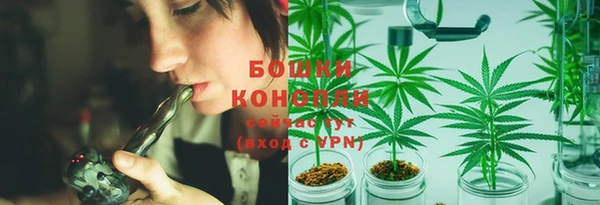 ECSTASY Горняк