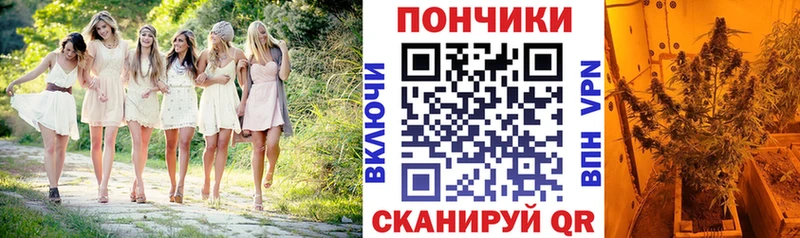 купить   Невинномысск  Канабис семена 
